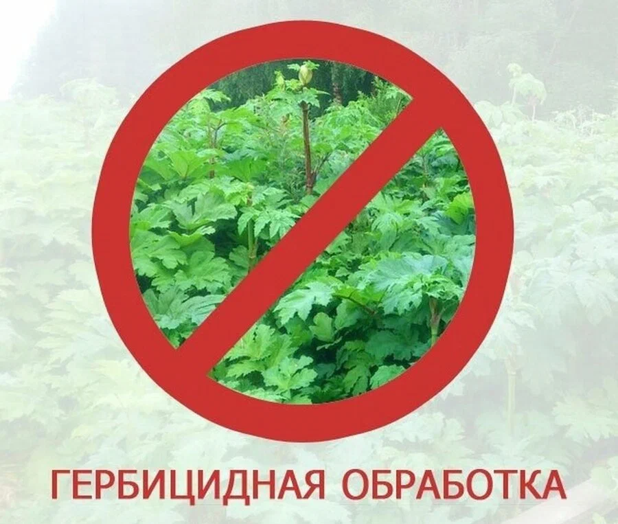 Обработка гербицидом..